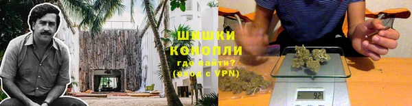 крисы Бугульма