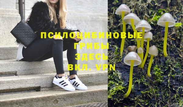 гашиш Бородино
