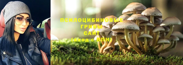 крисы Бугульма